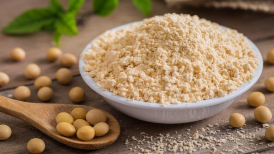 Textured Soy Protein Market to Reach USD2.13bn by 2033