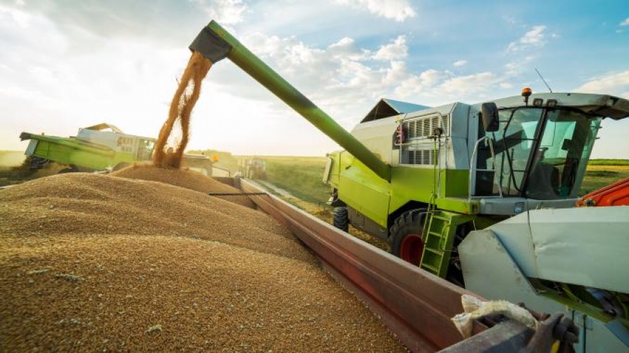 Romania, Bulgaria Confirmed Record: 18.5m Metric Tonnes EU Black Sea Wheat Harvest